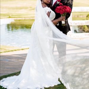Stunning, dropwaist, eggshell-white wedding gown and veil!